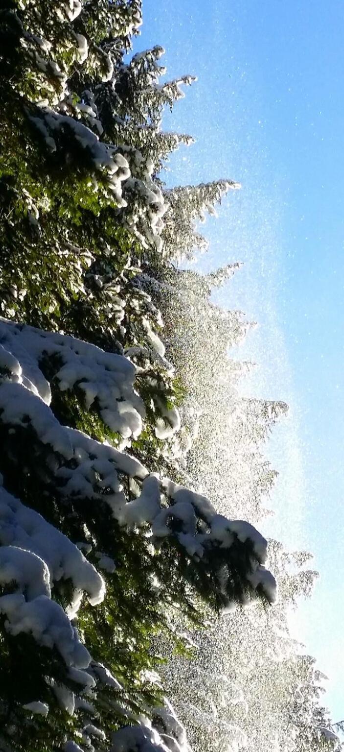 Iva Ubytovanie Liptovský Mikuláš Exterior foto